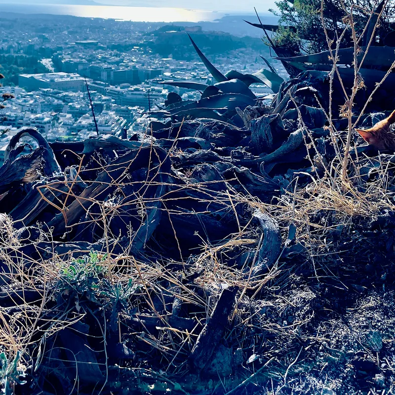 Sleeping Above the Ancient City