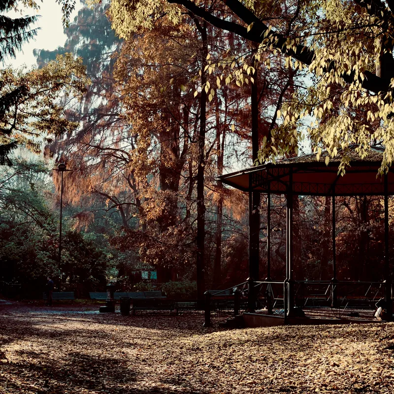 Autumn Fogliage at the Park